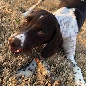 Meet your Posher, Renee